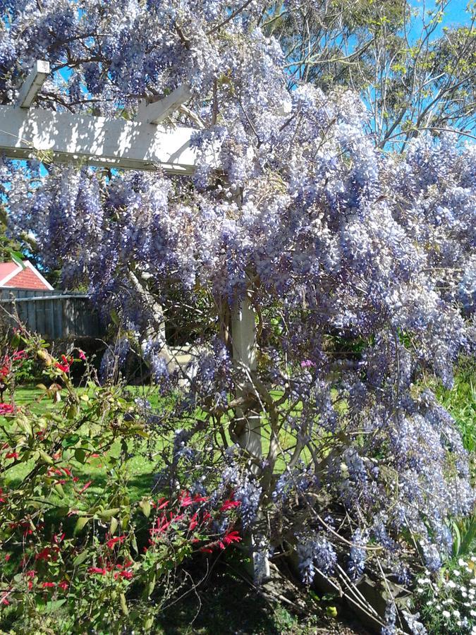 The Old Post Office Guesthouse B&B Paparoa Exteriér fotografie